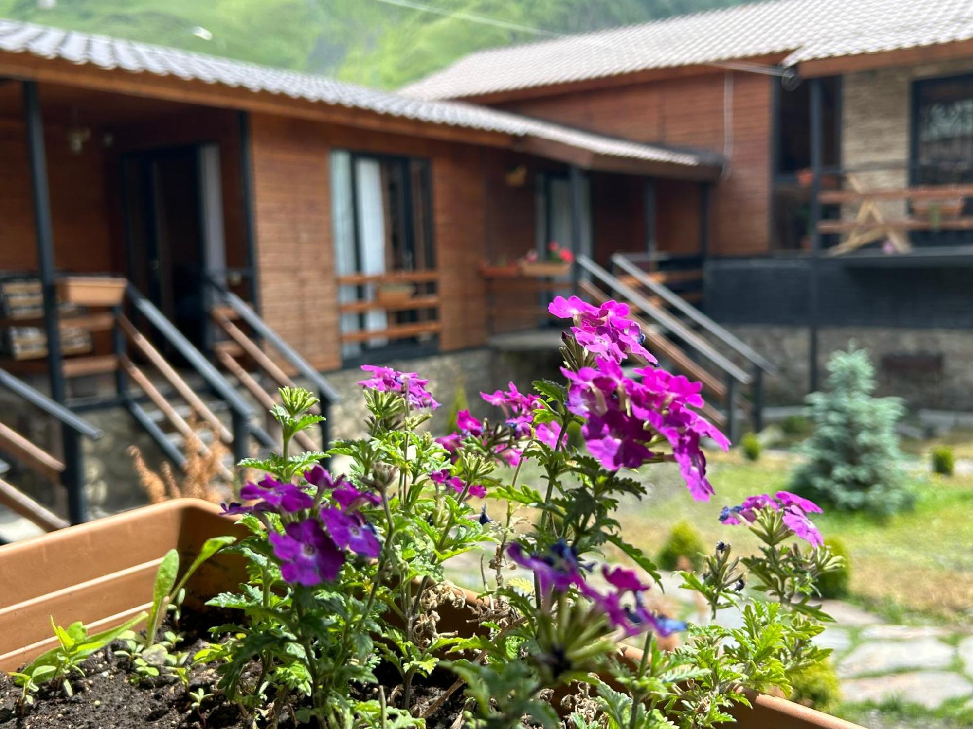 Panorama Cottages คัซเบกี ภายนอก รูปภาพ